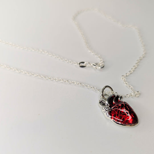 Anatomical Heart Charm Necklace